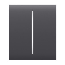 Купити Кнопка Ajax CenterButton (2-gang) graphite для двоклавішного вимикача. Системи безпеки для дому та офісу. Магазин RG-Group. Системи відеонагляду та охоронні сигналізації. Продаж та послуги встановлення