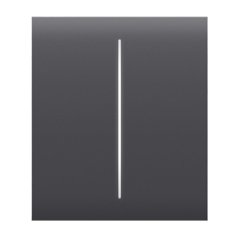 Купити Кнопка Ajax CenterButton (2-gang) graphite для двоклавішного вимикача. Системи безпеки для дому та офісу. Магазин RG-Group. Системи відеонагляду та охоронні сигналізації. Продаж та послуги встановлення