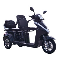 Купити Електроскутер VISTA-L2 (T409-2) 1000Вт 60В 20А·год для людей похилого віку та людей з особливими потребами. Системи безпеки для дому та офісу. Магазин RG-Group. Системи відеонагляду та охоронні сигналізації. Продаж та послуги встановлення