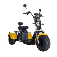 Купити Електроскутер трицикл CEMOTO C11A Сitycoco (Сітікоко) 2000W 60V 20Аh. Системи безпеки для дому та офісу. Магазин RG-Group. Системи відеонагляду та охоронні сигналізації. Продаж та послуги встановлення