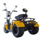 Купити Електроскутер трицикл CEMOTO C11A Сitycoco (Сітікоко) 2000W 60V 20Аh. Системи безпеки для дому та офісу. Магазин RG-Group. Системи відеонагляду та охоронні сигналізації. Продаж та послуги встановлення
