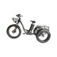 Купити Електровелосипед CEMOTO CEM-ET06. Системи безпеки для дому та офісу. Магазин RG-Group. Системи відеонагляду та охоронні сигналізації. Продаж та послуги встановлення