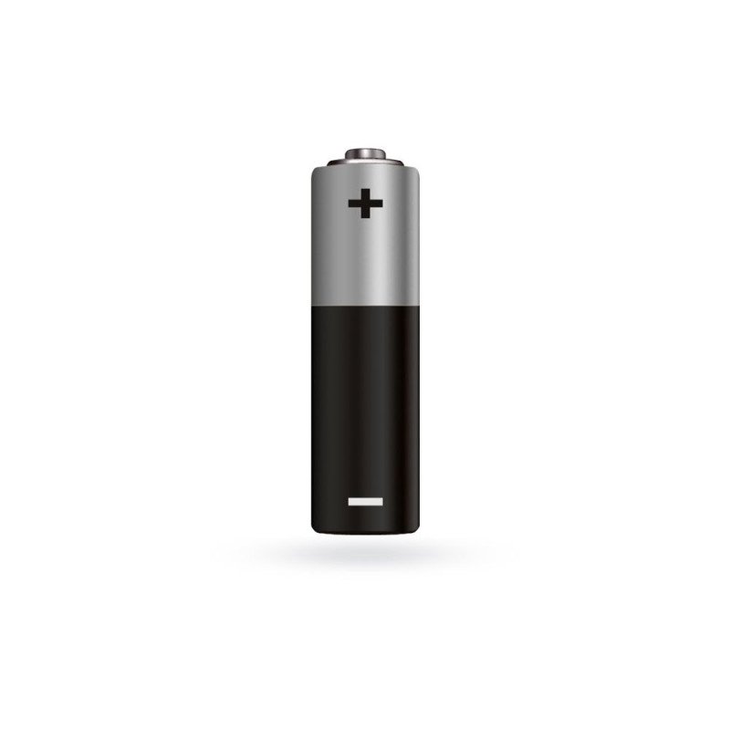 Купити Алкалінова батарейка Jablotron BAT-1V5-AA. Системи безпеки для дому та офісу. Магазин RG-Group. Системи відеонагляду та охоронні сигналізації. Продаж та послуги встановлення