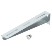Купити Кронштейн OBO Bettermann 310 мм з кріпильним болтом M10x25 6424740. Системи безпеки для дому та офісу. Магазин RG-Group. Системи відеонагляду та охоронні сигналізації. Продаж та послуги встановлення